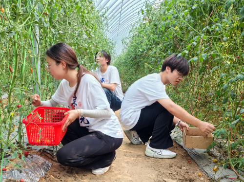 大学宿舍，真的很容易毁掉一个大学生